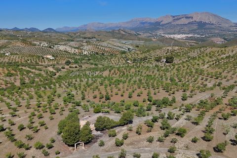 Landejendom i Velez-Rubio, Almeria, Velez-Rubio - € 170.000 | Ref: 3054-CH - foto 5